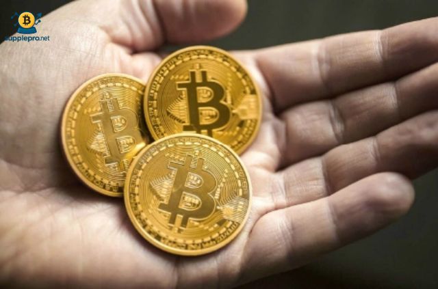 Bitcoin đã du nhập và trở nên phổ biến hơn ở Việt Nam trong những năm gần đây