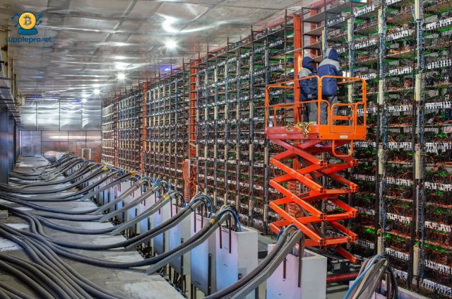 Những người thợ đào Bitcoin thực sự làm gì