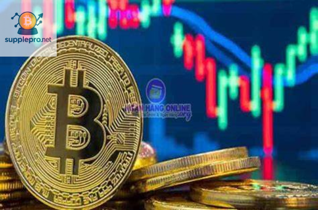 Thiết Lập và Vận Hành Dàn Máy Đào Bitcoin