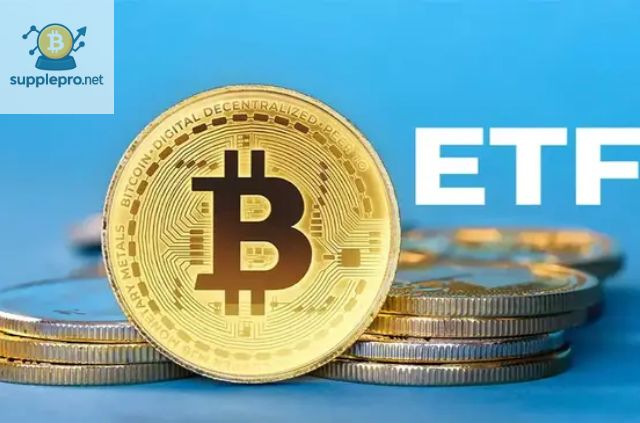 Dự Đoán Giá Bitcoin Vault (BTCV) Trong Tương Lai