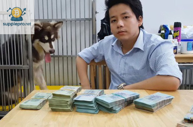Tại Sao Việc Biết Số Bitcoin Khoa Pug Có Lại Quan Trọng?