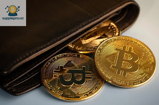 khôi phục ví bitcoin