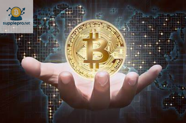 Những Lưu Ý Quan Trọng Khi Khôi Phục Ví Bitcoin