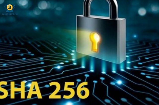 Thuật toán Bitcoin có vai trò vô cùng quan trọng